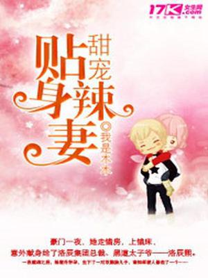 罗天雅洛辰熙